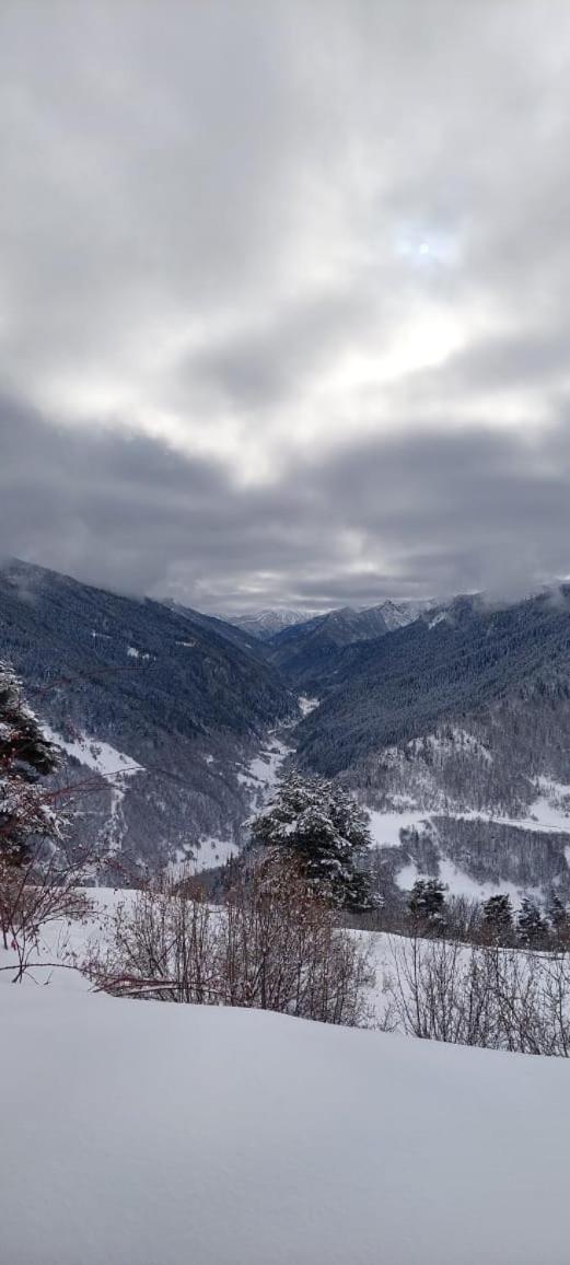 Shorena'S Homestay Tsvirmi Экстерьер фото
