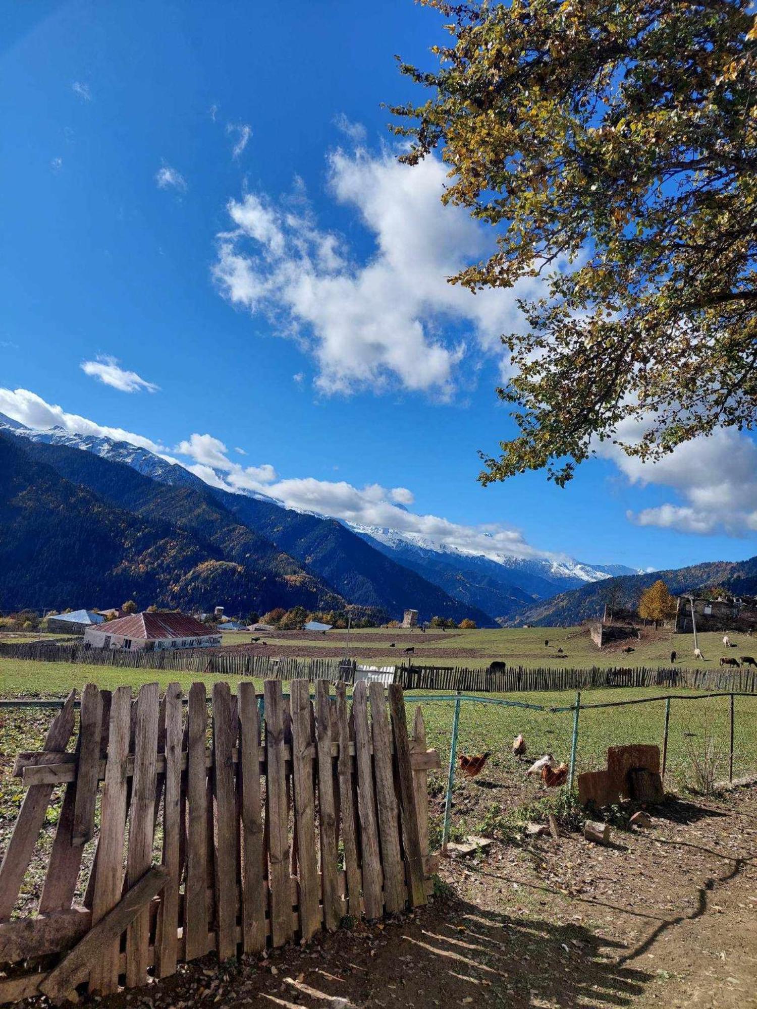 Shorena'S Homestay Tsvirmi Экстерьер фото