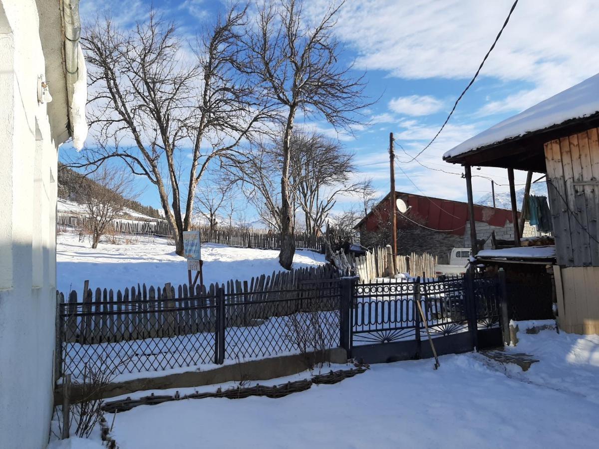 Shorena'S Homestay Tsvirmi Экстерьер фото