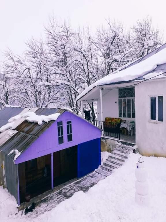 Shorena'S Homestay Tsvirmi Экстерьер фото